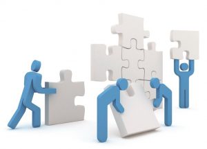 software partner